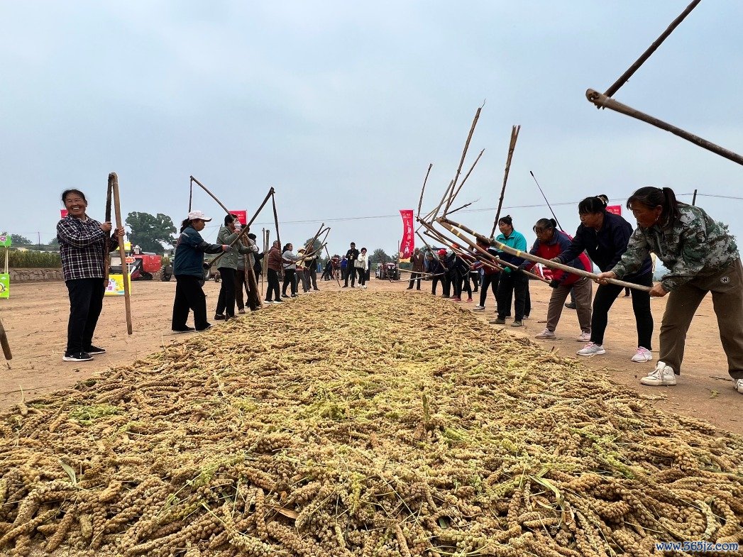 264877422791831552.jpg 264877422791831552.jpg