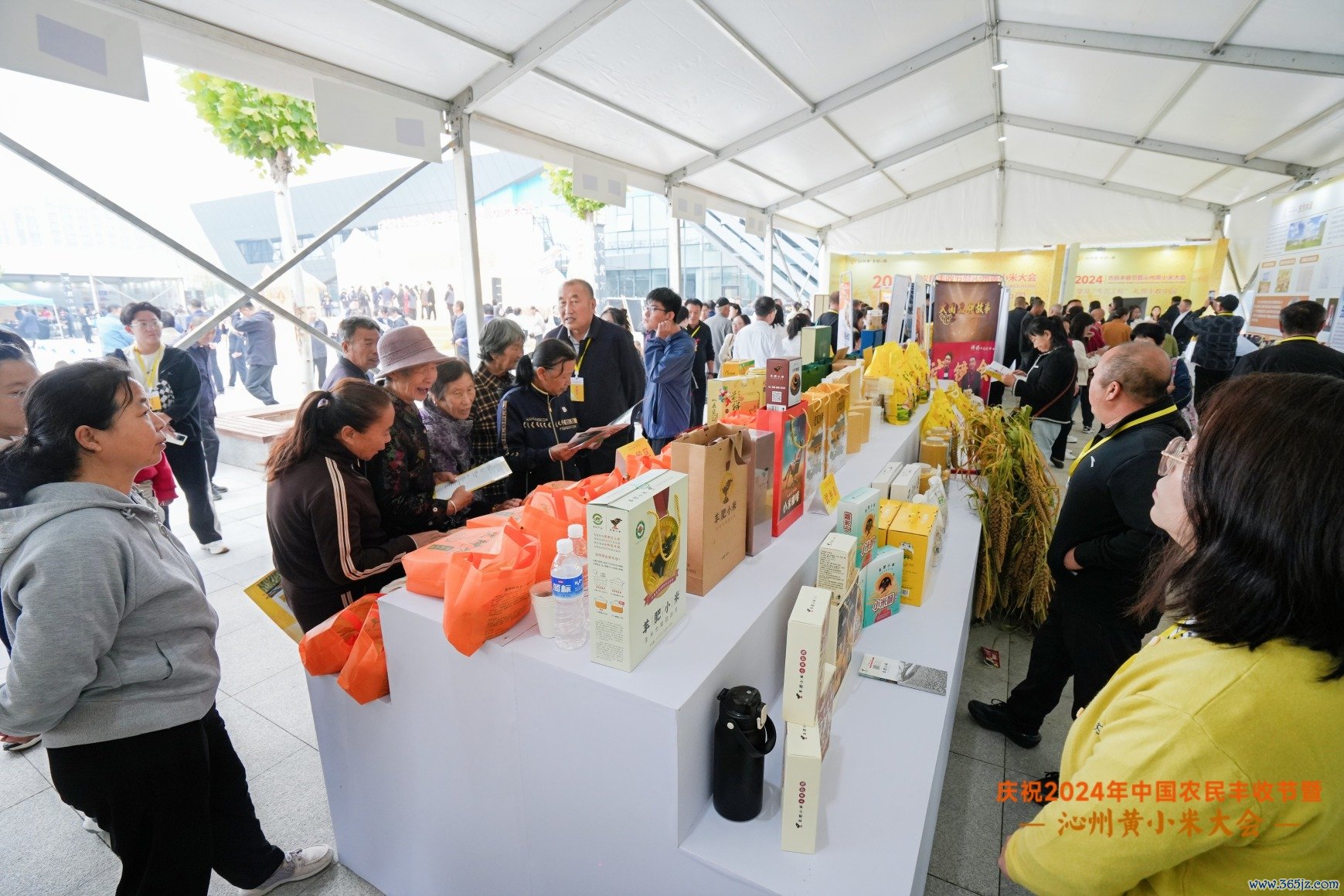 264877418631081984.jpg 264877418631081984.jpg